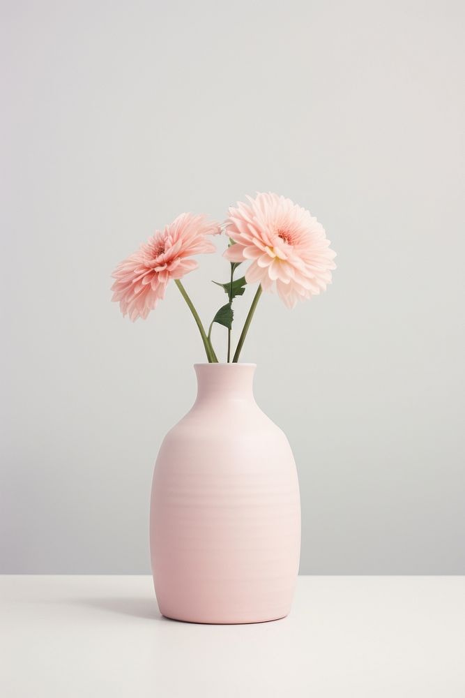 Vase flower plant inflorescence decoration. AI generated Image by rawpixel.
