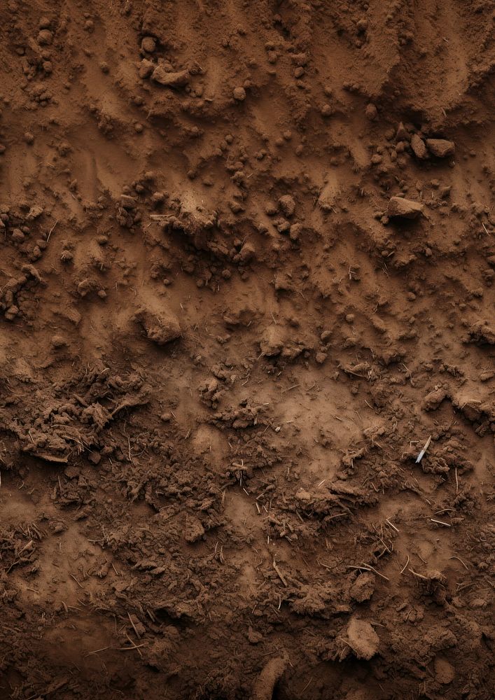 Soil outdoors texture nature. AI generated Image by rawpixel.