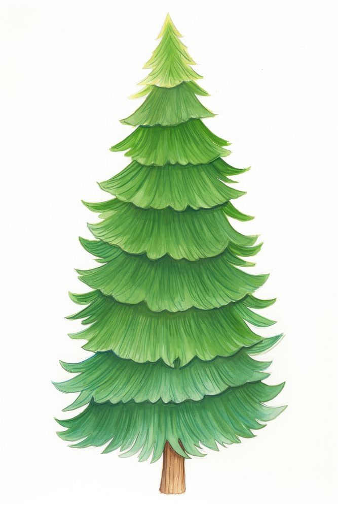 Christmas tree plant green leaf. AI generated Image by rawpixel.