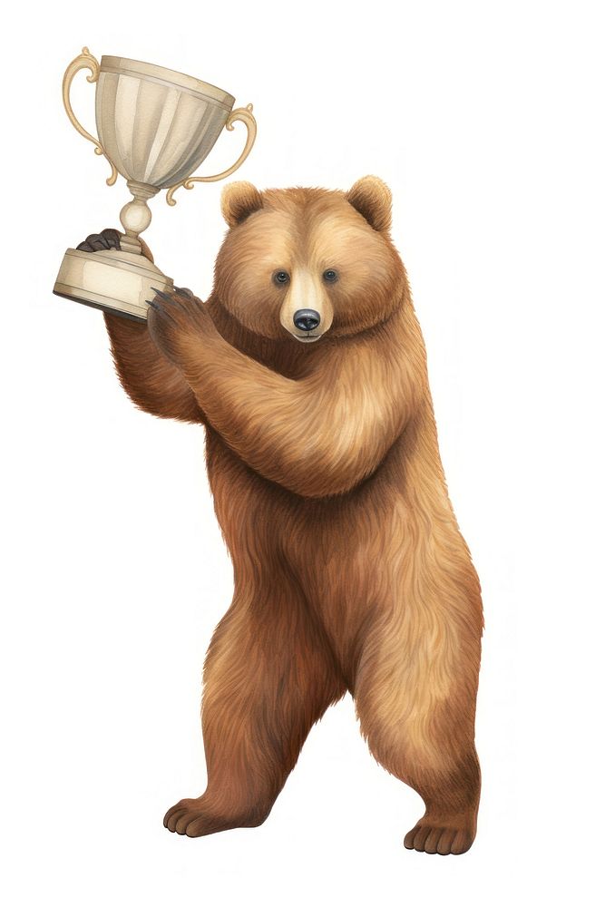 Two brown bear holding trophy mammal animal white background. AI generated Image by rawpixel.