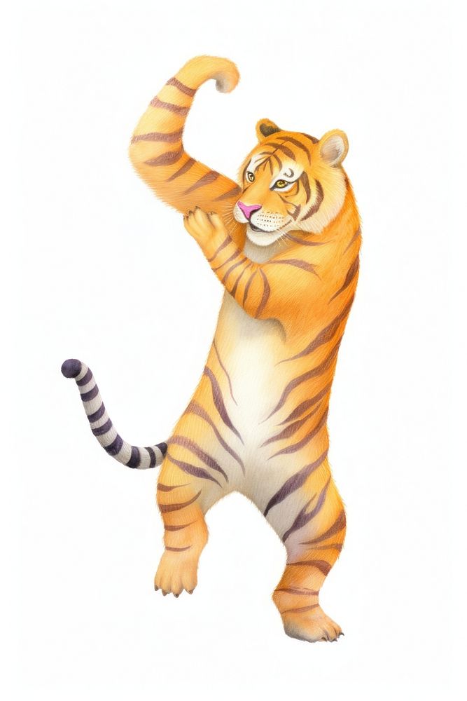 Tiger dancing wildlife animal mammal. AI generated Image by rawpixel.