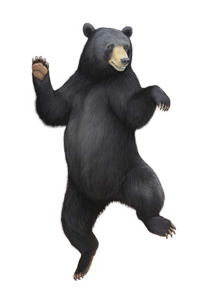 Black bear dancing wildlife mammal animal. AI generated Image by rawpixel.