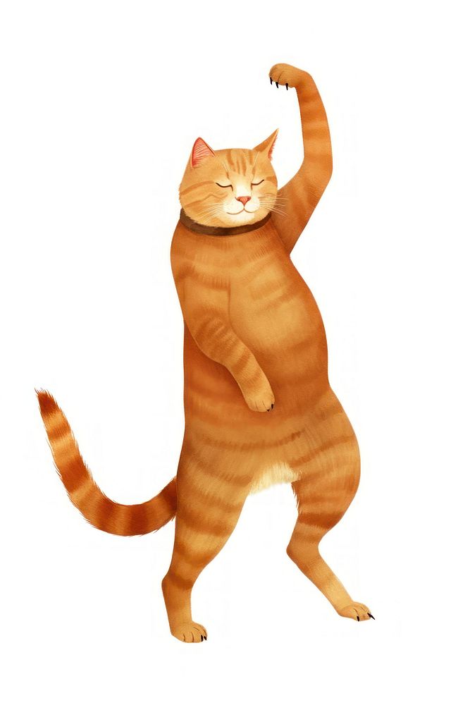 Brown cat dancing mammal animal pet. AI generated Image by rawpixel.