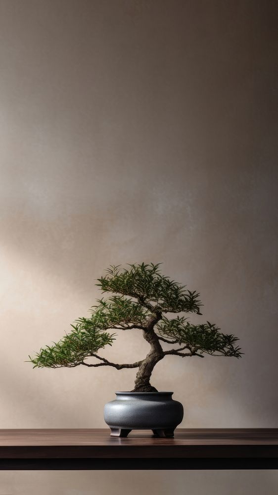 photo of a bonsai tree in the room. AI generated Image by rawpixel. 