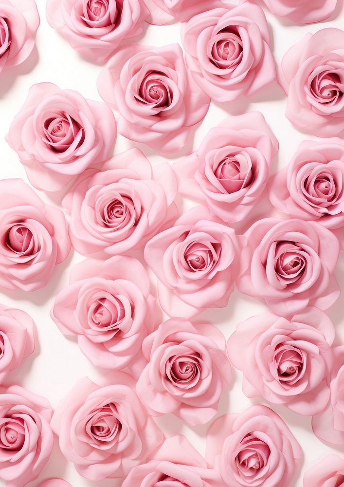 pattern of luxury pink roses, isolated on white background. AI generated Image by rawpixel.