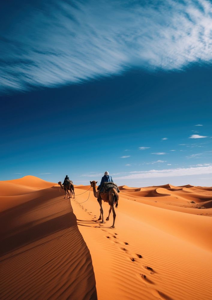 photography of camel in desert landscape . 