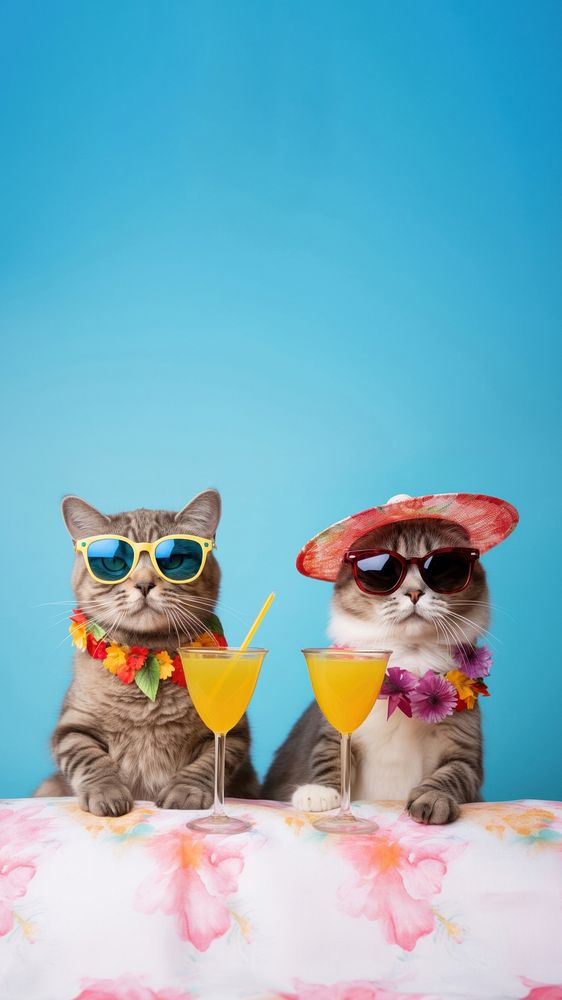 photo of cute cats wearing glasses drinking cocktail from the same glass. AI generated Image by rawpixel.