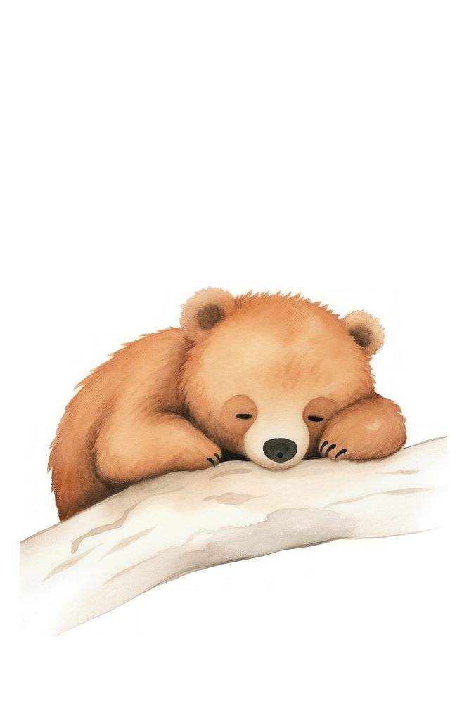 Bear Baby sleep animal wildlife cartoon. AI generated Image by rawpixel.