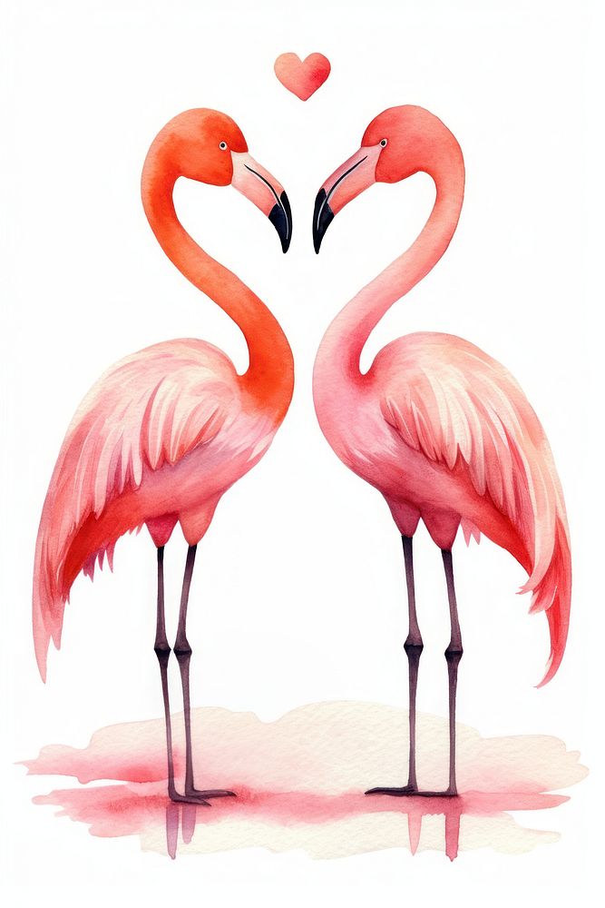 Flamingo standing heart animal bird beak. 