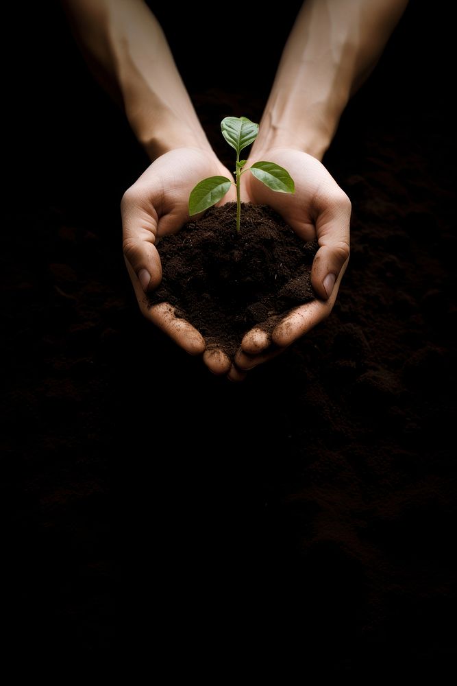 Little tree hand planting outdoors. AI generated Image by rawpixel.