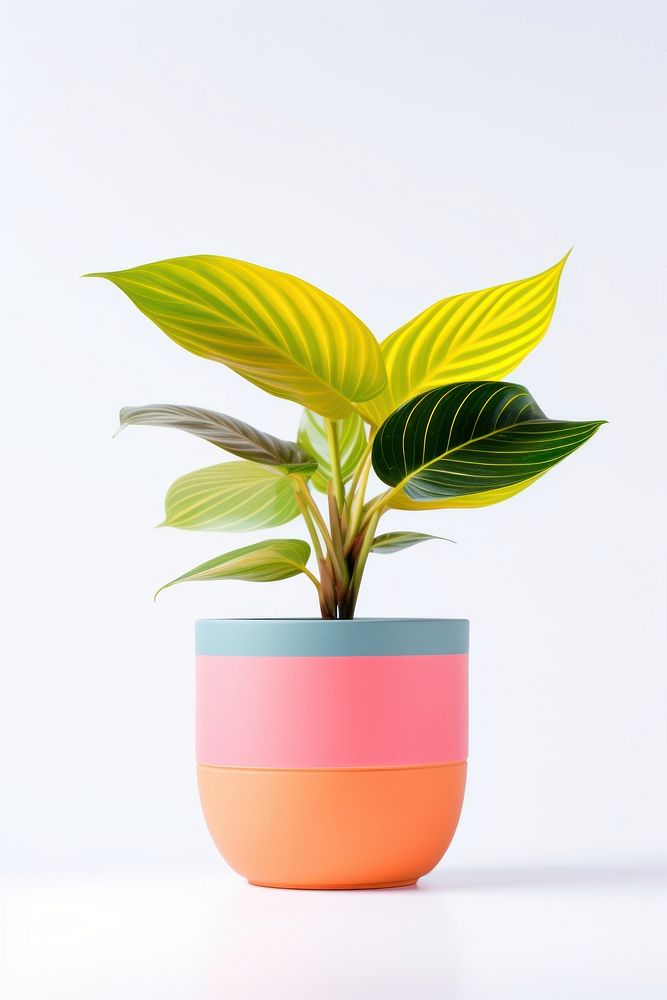 Plant pot flower leaf vase. AI generated Image by rawpixel.