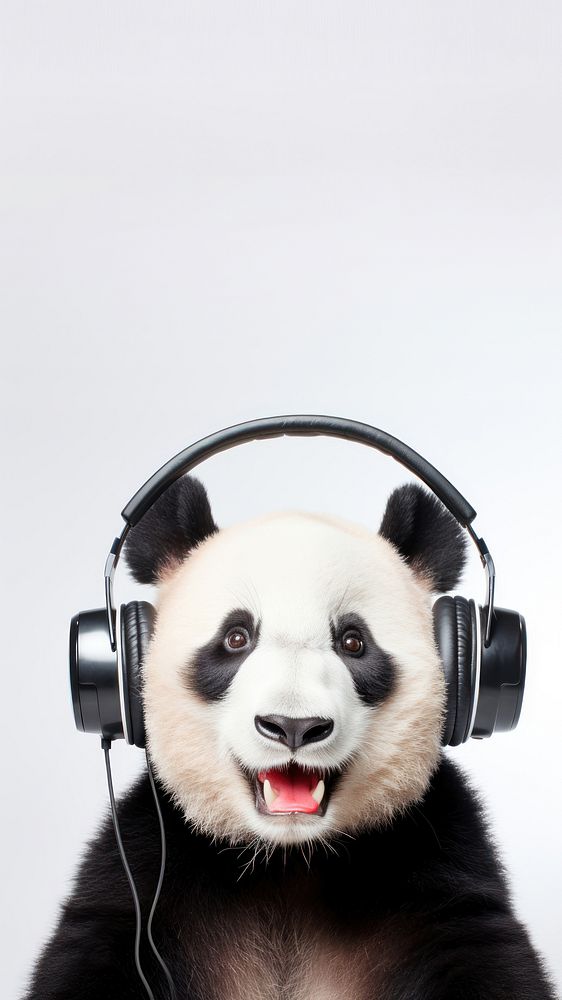 Real photo of happy panda wearing headphones. AI generated Image by rawpixel. 