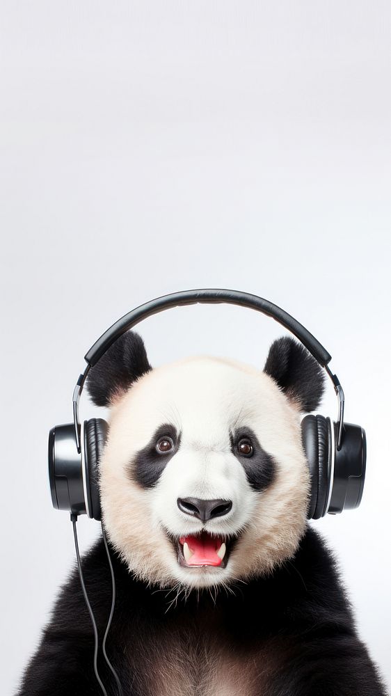 Real photo of happy panda wearing headphones.  