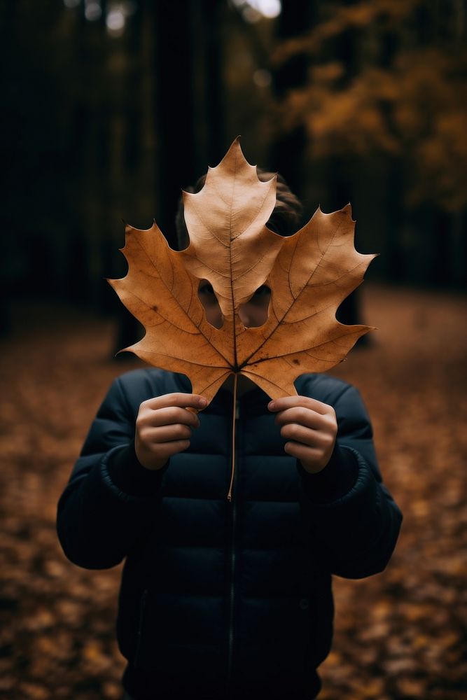 Big autumn leaf portrait holding plant. 