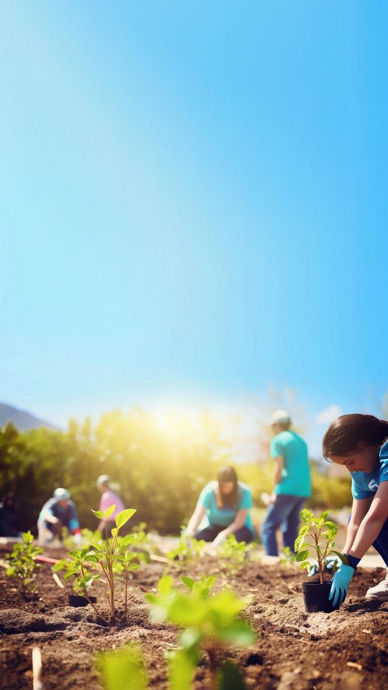 Photo of young people volunteers outdoors planting. 