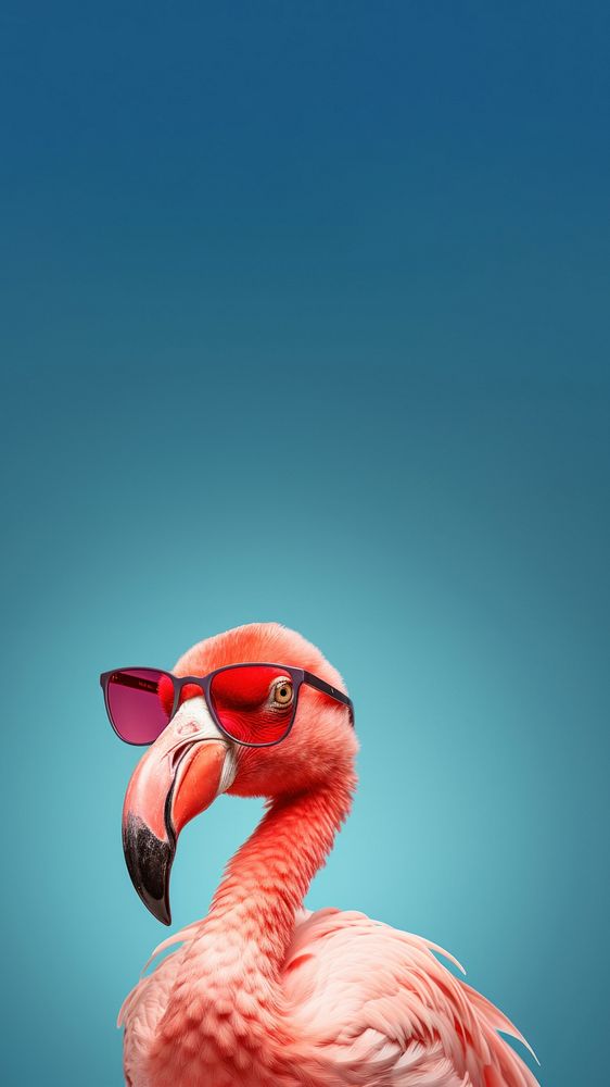 Flamingo glasses sunglasses animal. AI generated Image by rawpixel.. AI generated Image by rawpixel.