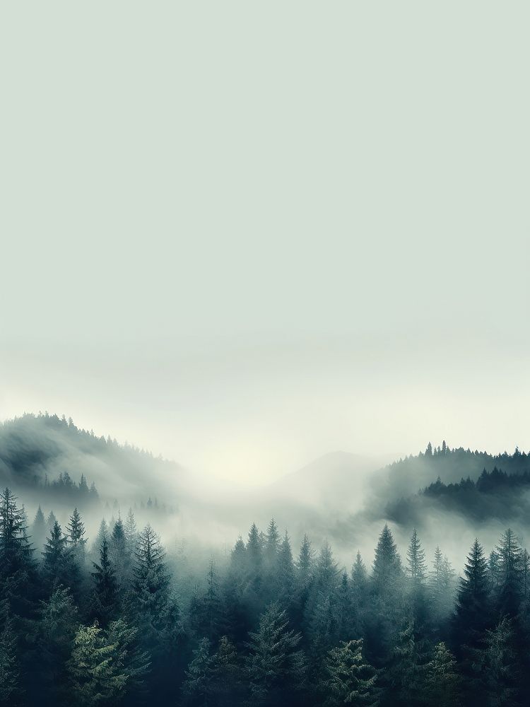 Forest mist backgrounds outdoors. AI generated Image by rawpixel.