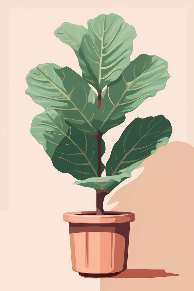 Fiddle leaf fig plant tree houseplant. AI generated Image by rawpixel.