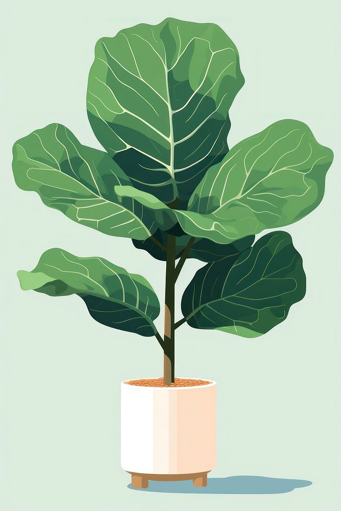 Fiddle leaf fig vegetable plant tree. AI generated Image by rawpixel.