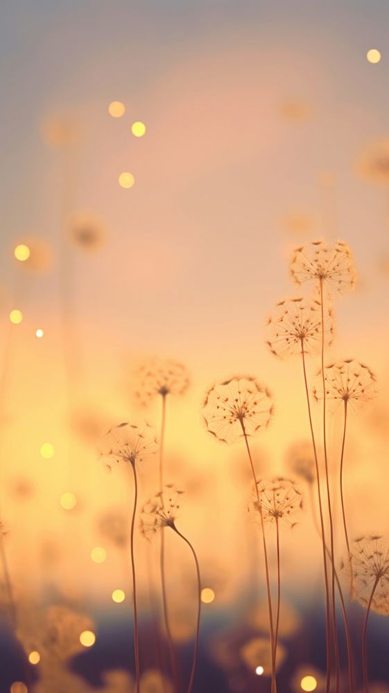 Dandelion outdoors nature flower. AI generated Image by rawpixel.