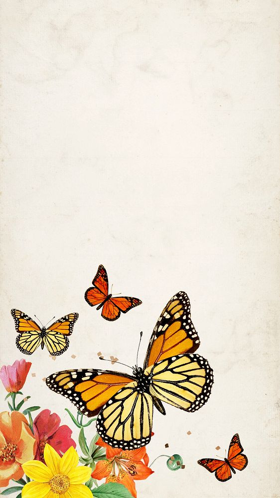 Old paper textured iPhone wallpaper, colorful butterfly border