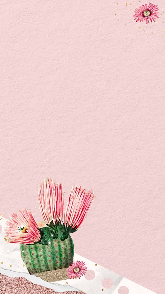 Pink cactus border iPhone wallpaper