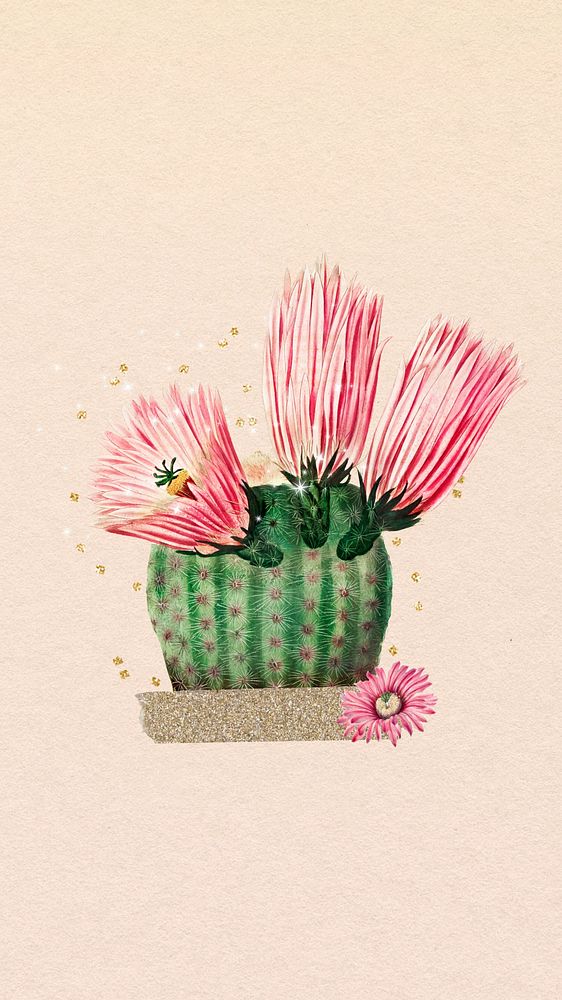 Cute cactus flower iPhone wallpaper, botanical illustration