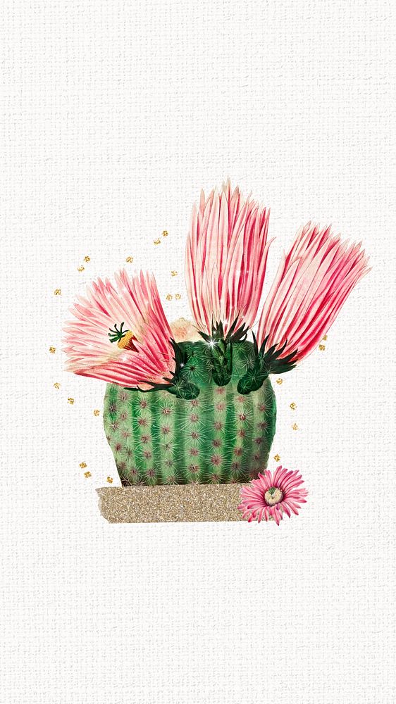 Cute cactus flower iPhone wallpaper, botanical illustration