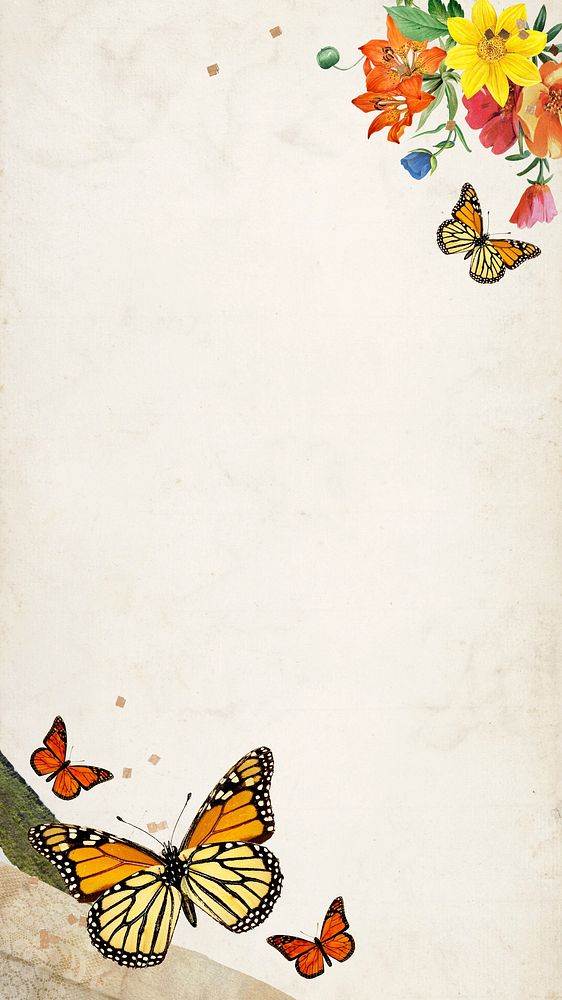 Old paper textured iPhone wallpaper, colorful butterfly border