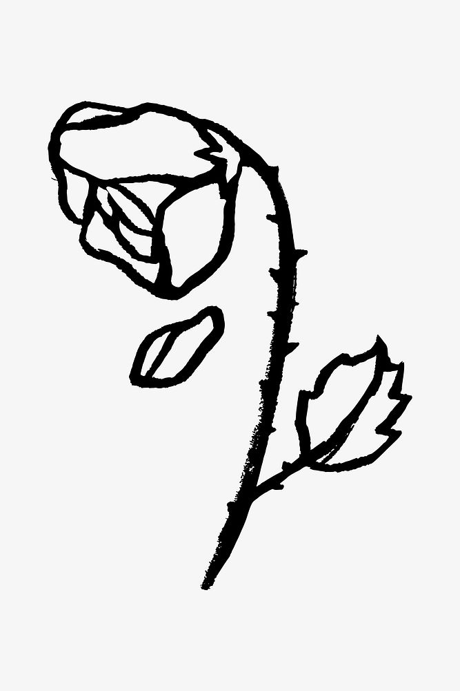 Shrivel rose doodle illustration vector