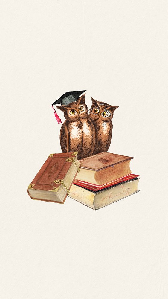 Owl education graduation iPhone wallpaper