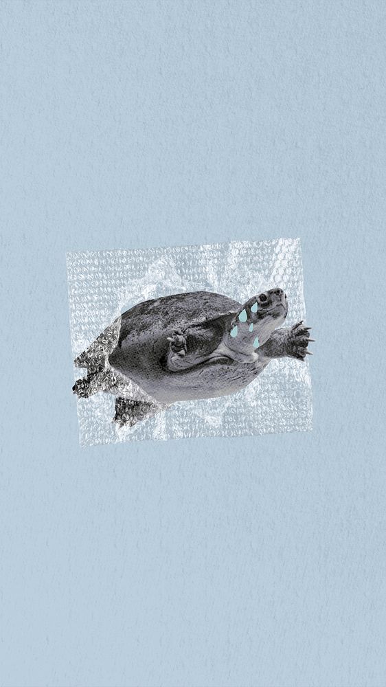 Turtle in plastic iPhone wallpaper