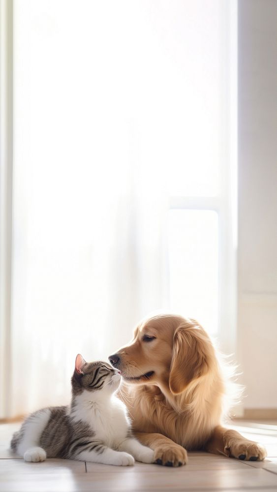 Dog animal mammal kitten. 