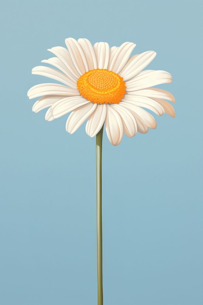 Daisy Flower flower daisy petal. AI generated Image by rawpixel.