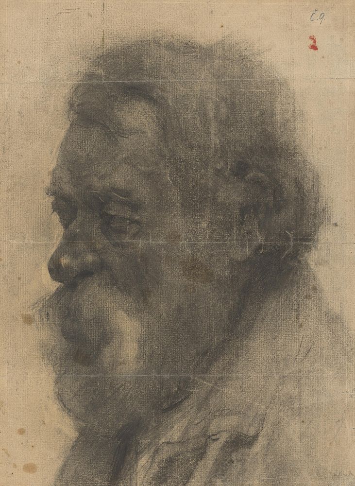 Head study of a man with long hair