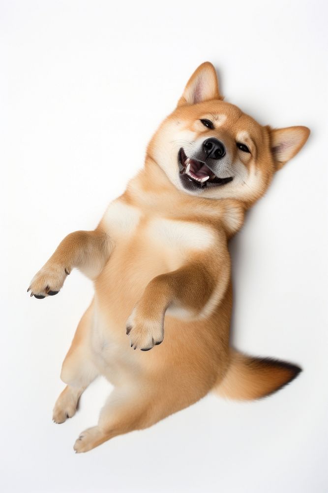 Happy puppy dog. AI generated Image by rawpixel.