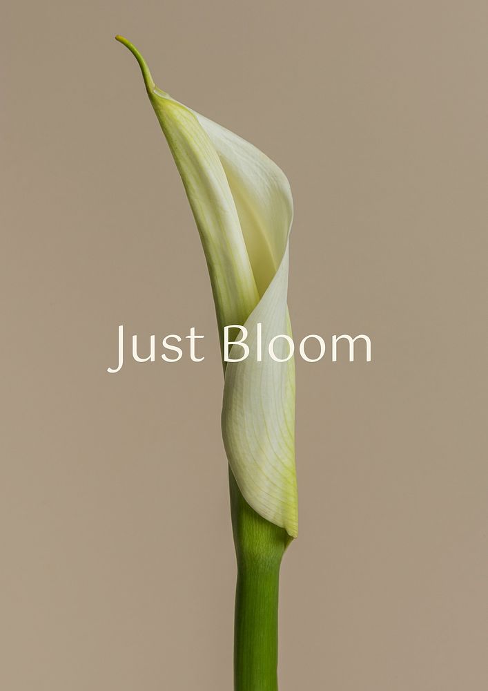Bloom, positivity quote   poster template