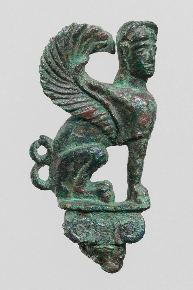 particularite chat sphinx bronze