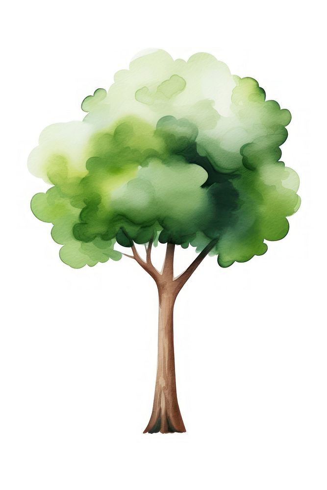 Big tree drawing plant white background. AI generated Image by rawpixel.