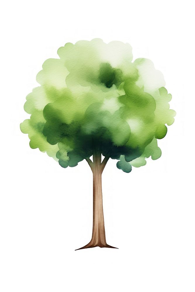 Big tree outdoors plant white background. AI generated Image by rawpixel.