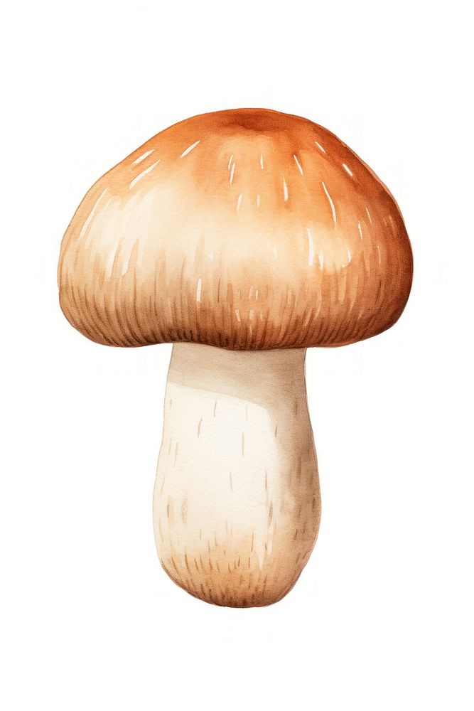 Porcini mushroom fungus agaric plant. AI generated Image by rawpixel.
