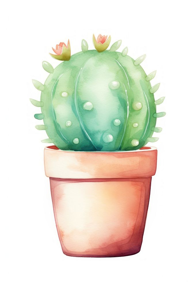 Cactus plant white background creativity. AI generated Image by rawpixel.