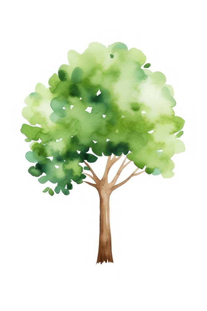 Tree drawing plant leaf. AI generated Image by rawpixel.
