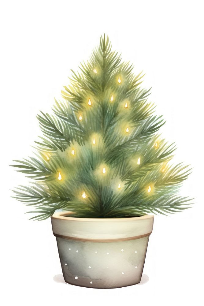 Christmas tree decoration plant. AI generated Image by rawpixel.