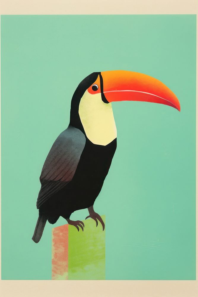 Toucan bird animal beak art. AI generated Image by rawpixel.