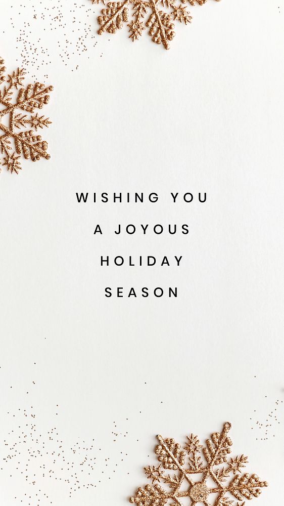 Holiday wishing  Instagram story template