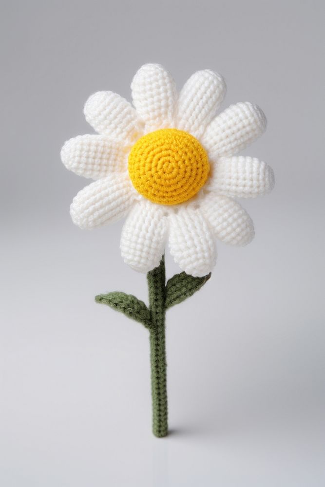 Daisy flower blossom pattern nature. AI generated Image by rawpixel.
