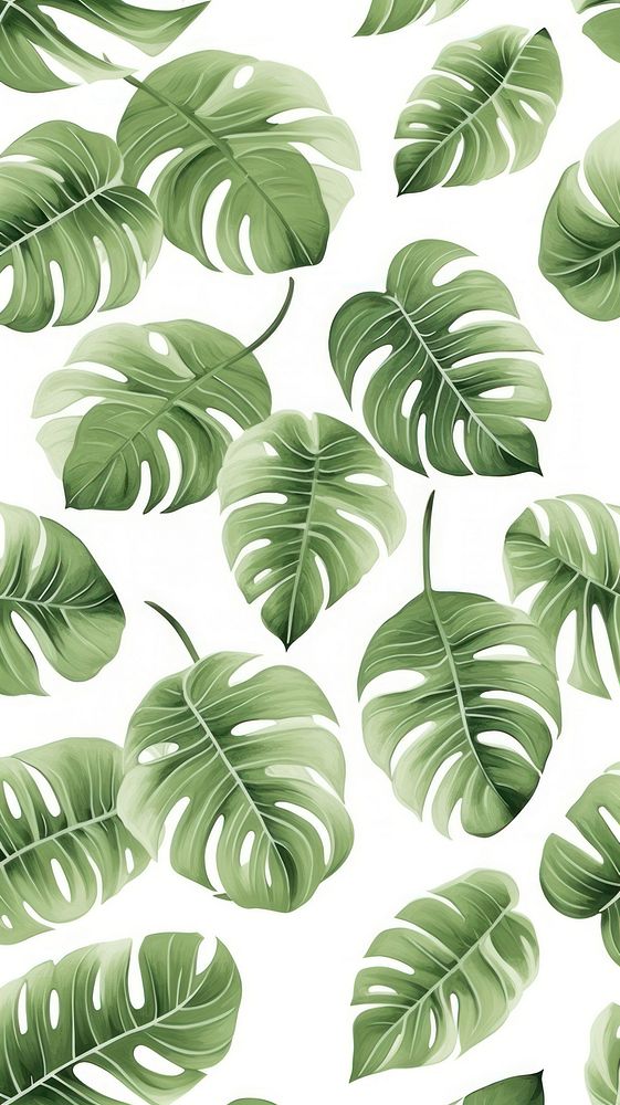 Monstera backgrounds pattern nature. AI generated Image by rawpixel.