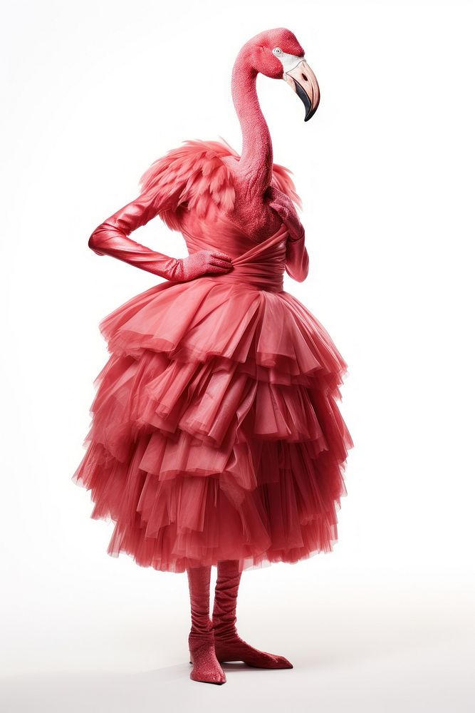 Flamingo dress costume animal. AI generated Image by rawpixel.