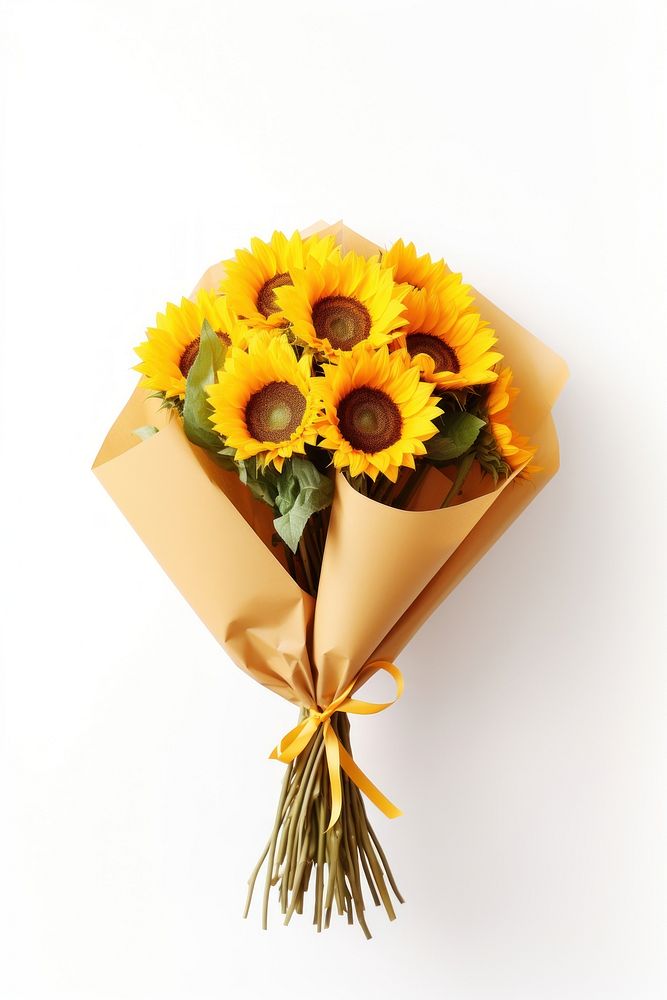 Sunflower bouquet plant paper white background. AI generated Image by rawpixel.